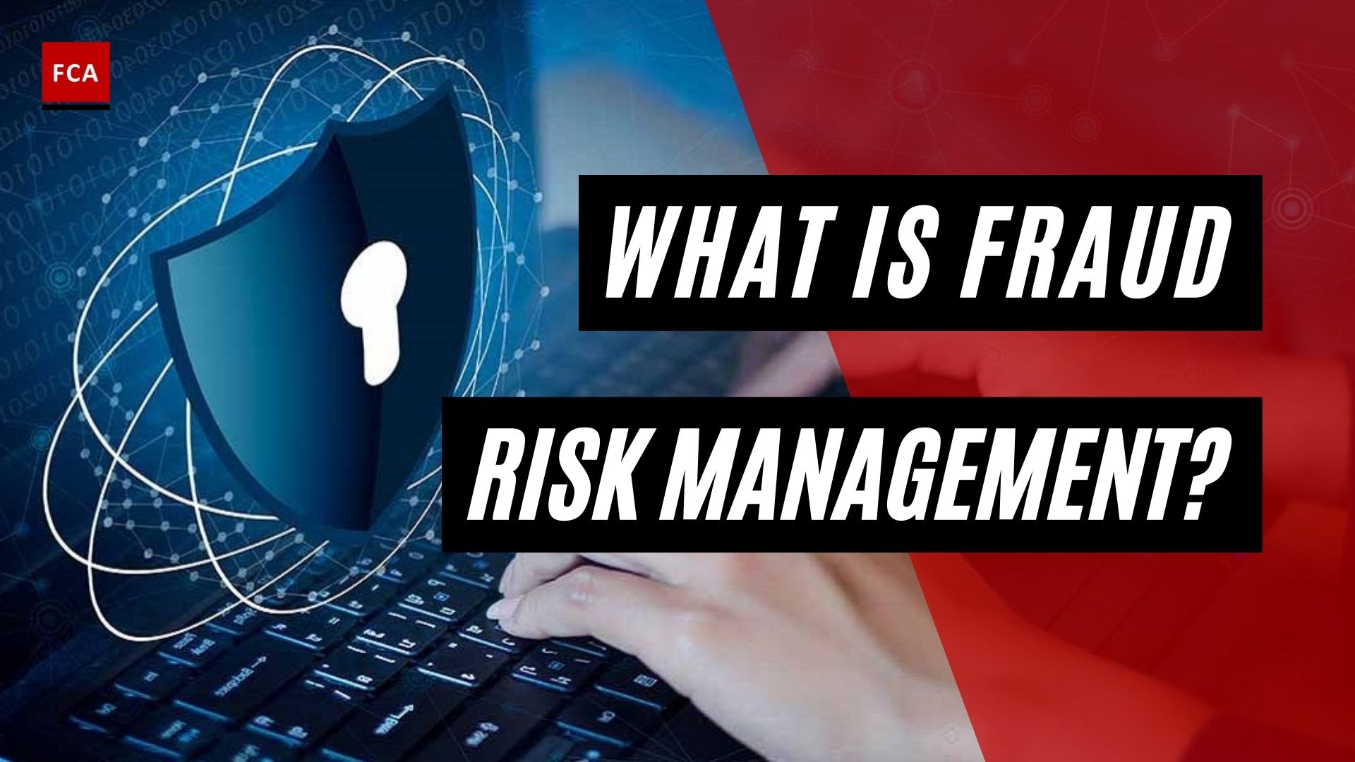 Risk and Fraud Management